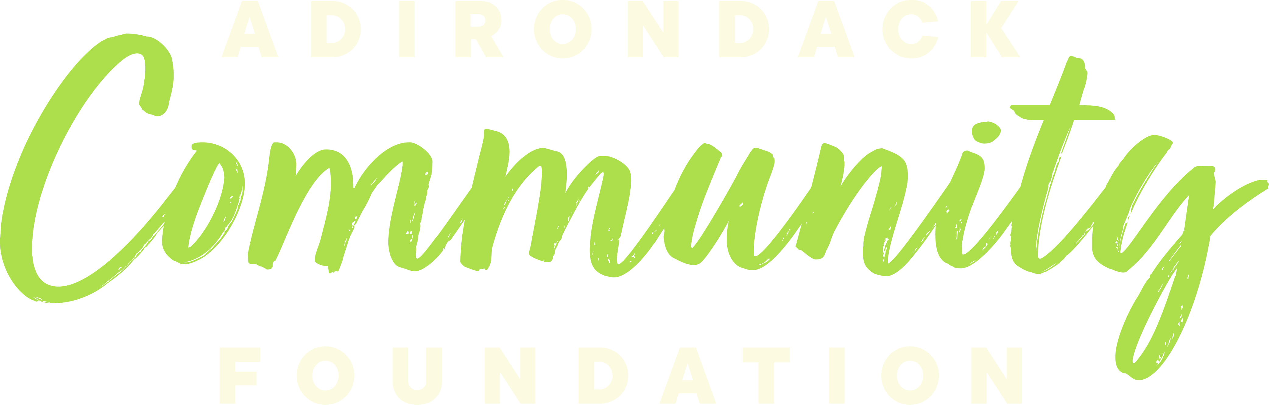 Adirondack Community Foundation