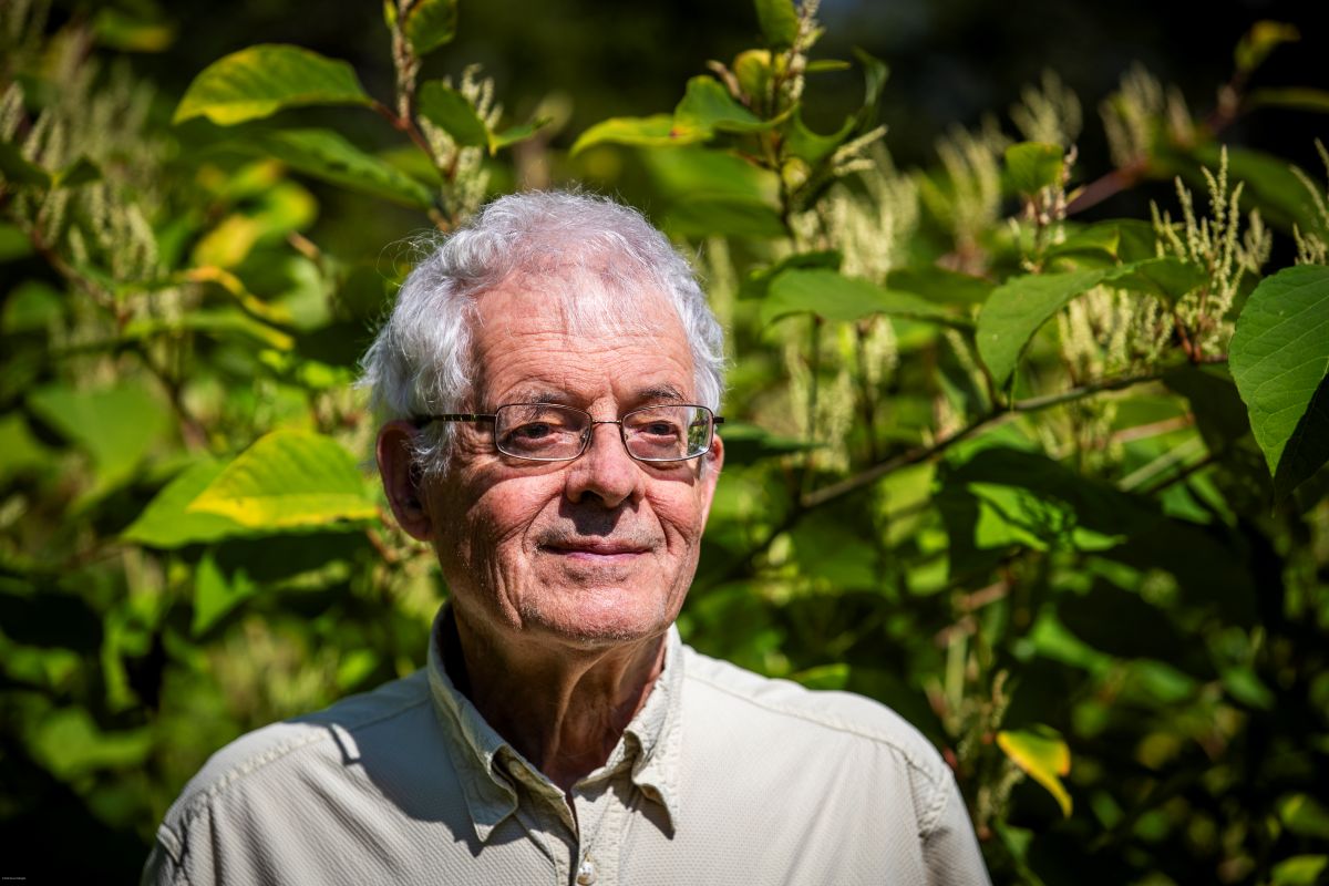 man standing in front of Japanese knotweed